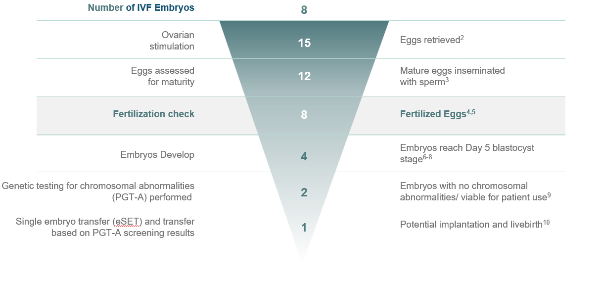 funnel-graph-figure-1